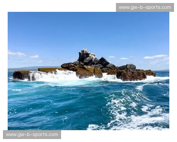 赤道火种碰撞桑巴旋律：厄瓜多尔与巴西的巅峰对决，谁才是南美大陆的真正主宰？